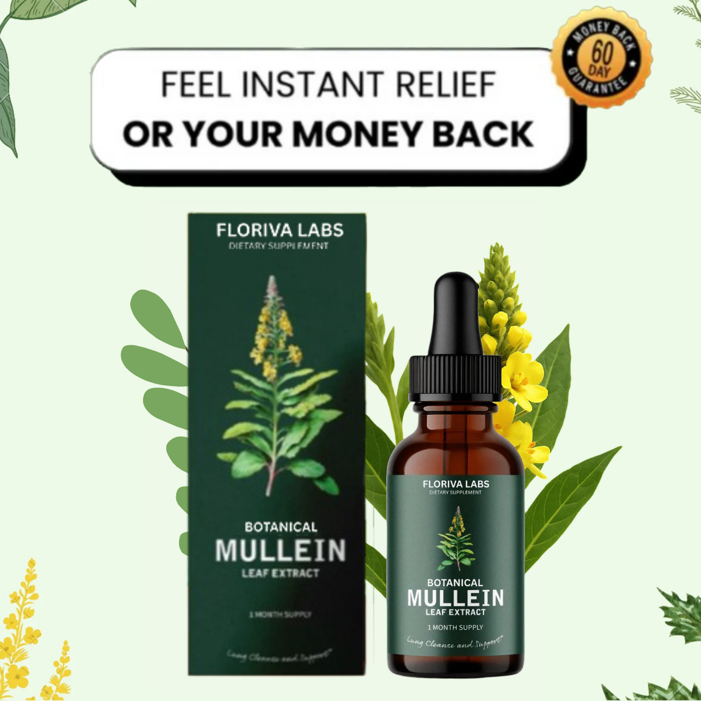 Floriva Labs Mullein Leaf Elixir