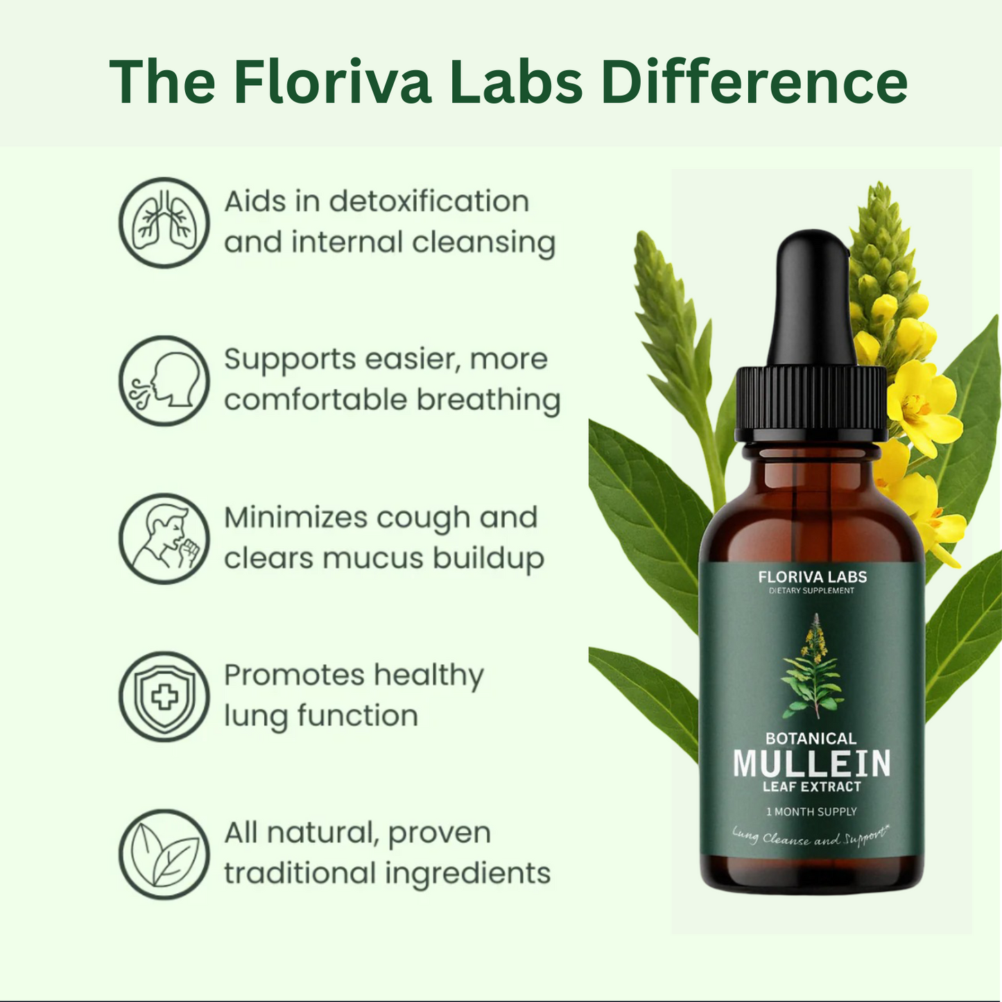 Floriva Labs Mullein Leaf Elixir